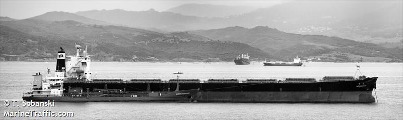 ns hangzhou (Bulk Carrier) - IMO 9281827, MMSI 355432000, Call Sign HPTH under the flag of Panama