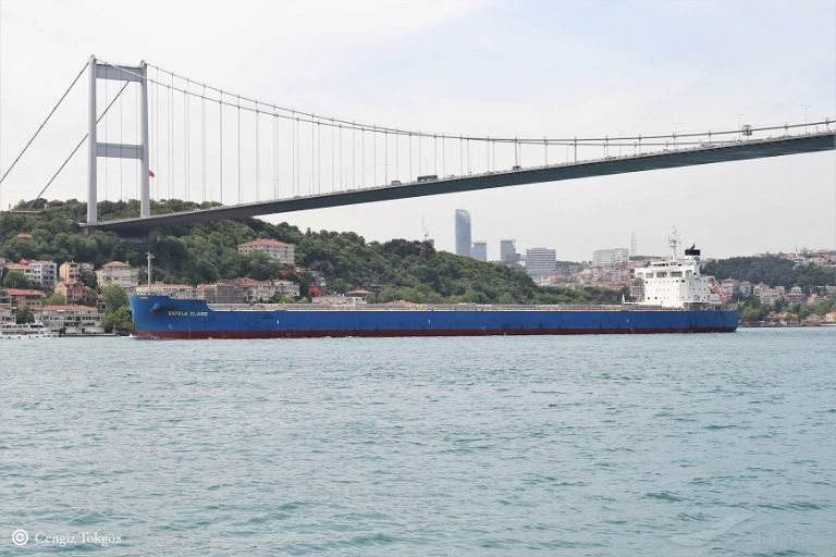 estela claire (Bulk Carrier) - IMO 9785615, MMSI 355913000, Call Sign 3FQN3 under the flag of Panama