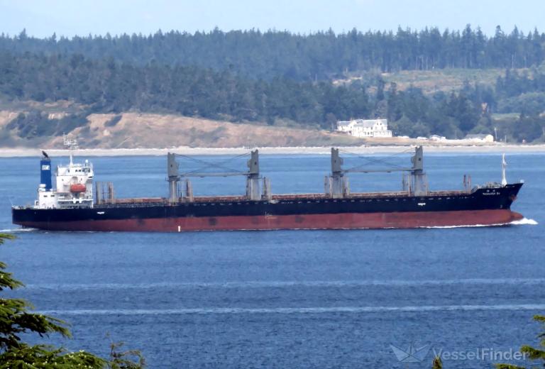 twinluck sw (Bulk Carrier) - IMO 9473767, MMSI 373558000, Call Sign 3FCW3 under the flag of Panama