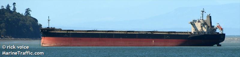 sea juno (Bulk Carrier) - IMO 9460588, MMSI 374466000, Call Sign 3FSB2 under the flag of Panama