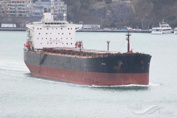 arvin (Bulk Carrier) - IMO 9193202, MMSI 422034300, Call Sign EPBU3 under the flag of Iran