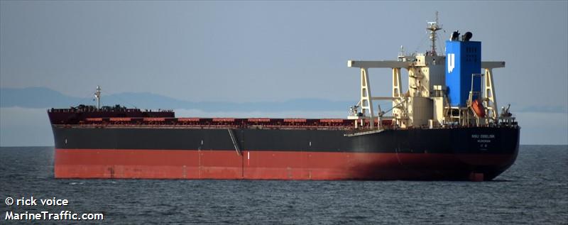 nsu obelisk (Bulk Carrier) - IMO 9675664, MMSI 431113000, Call Sign 7KEE under the flag of Japan