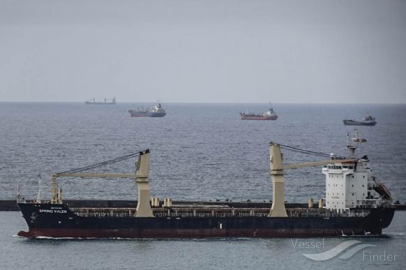 spring valen (General Cargo Ship) - IMO 9505950, MMSI 477137100, Call Sign VRPP8 under the flag of Hong Kong