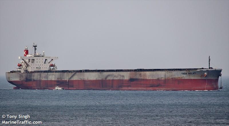 tasik melati (Bulk Carrier) - IMO 9311828, MMSI 533130272, Call Sign 9MVF3 under the flag of Malaysia