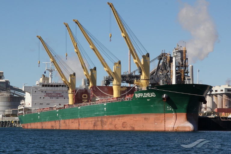 seahope (Bulk Carrier) - IMO 9598294, MMSI 538008690, Call Sign V7A2660 under the flag of Marshall Islands