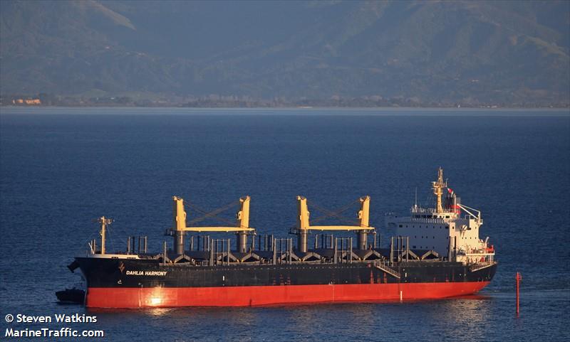 dahlia harmony (Bulk Carrier) - IMO 9778997, MMSI 636019216, Call Sign D5TM5 under the flag of Liberia