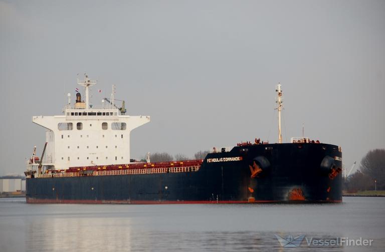 pedhoulas commander (Bulk Carrier) - IMO 9381524, MMSI 209854000, Call Sign 5BVL3 under the flag of Cyprus