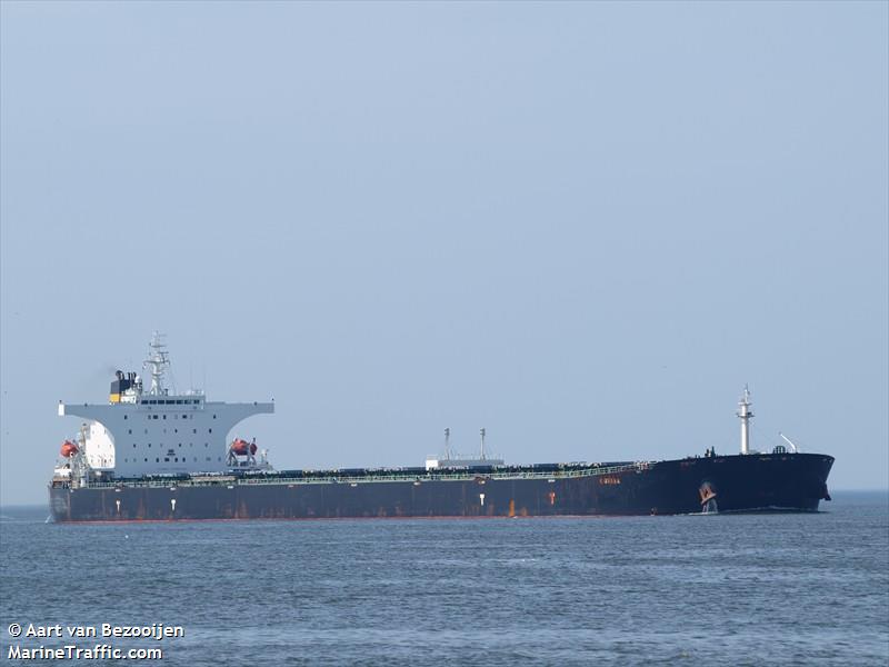 cohiba (Bulk Carrier) - IMO 9308869, MMSI 248007000, Call Sign 9HA2122 under the flag of Malta