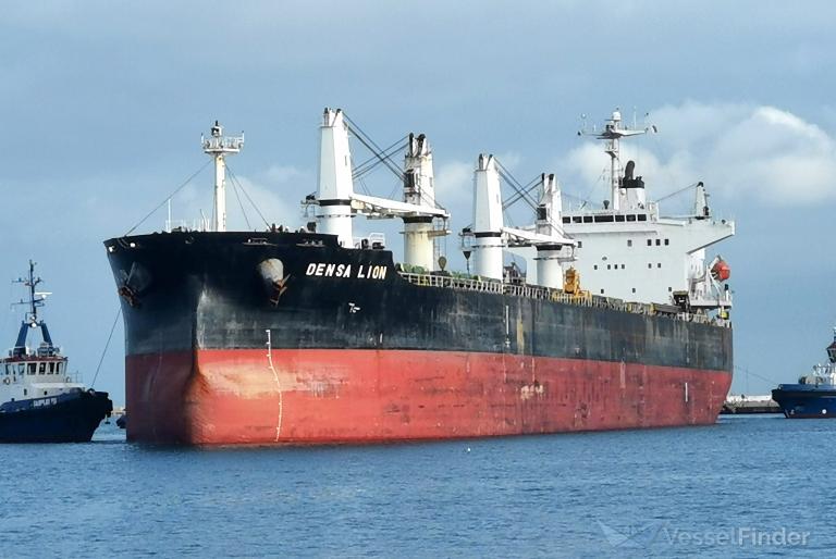 densa lion (Bulk Carrier) - IMO 9432464, MMSI 248476000, Call Sign 9HA2379 under the flag of Malta