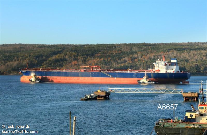 seavoyager (Crude Oil Tanker) - IMO 9318096, MMSI 256439000, Call Sign 9HUM8 under the flag of Malta