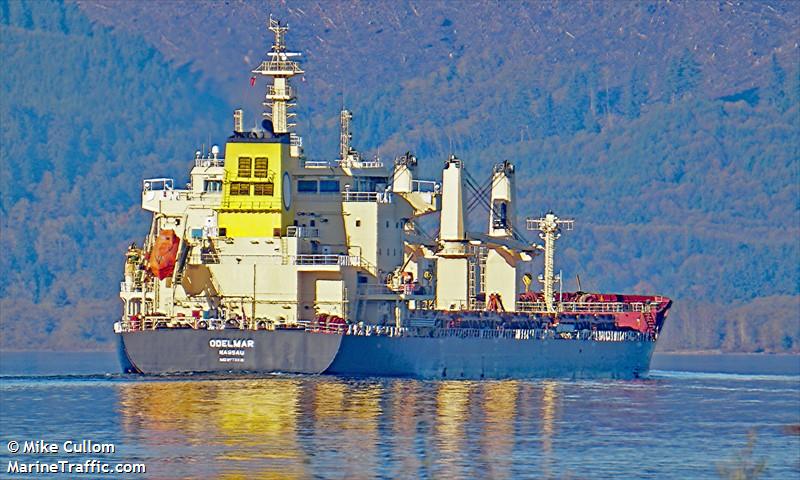 odelmar (Bulk Carrier) - IMO 9773313, MMSI 311000614, Call Sign C6CZ5 under the flag of Bahamas