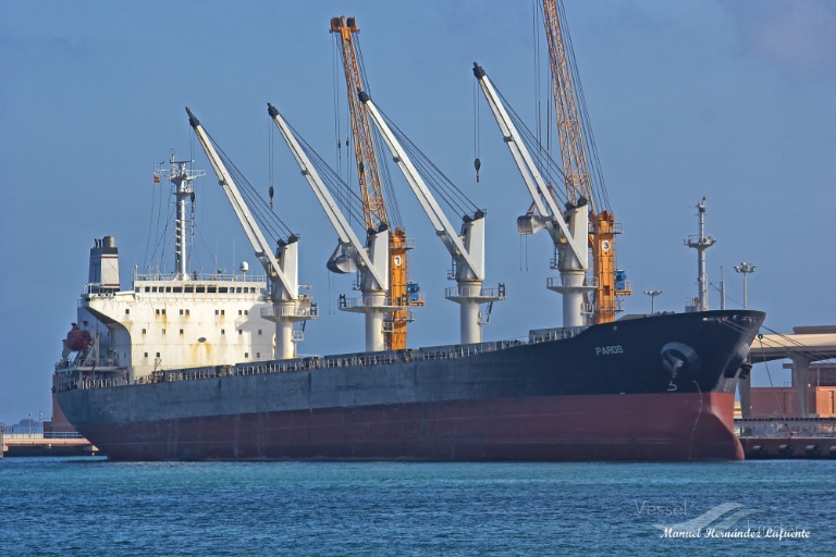 my meray (Bulk Carrier) - IMO 9000302, MMSI 312495000, Call Sign V3TJ6 under the flag of Belize