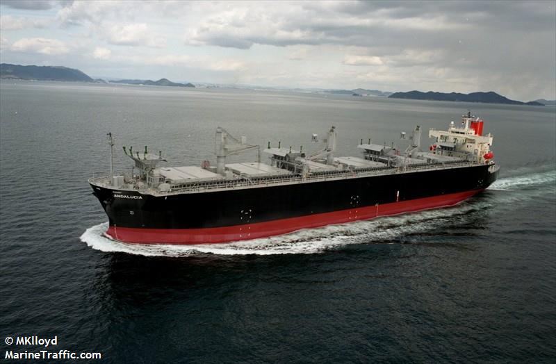 andalucia (Wood Chips Carrier) - IMO 9370745, MMSI 352017000, Call Sign 3EOY7 under the flag of Panama