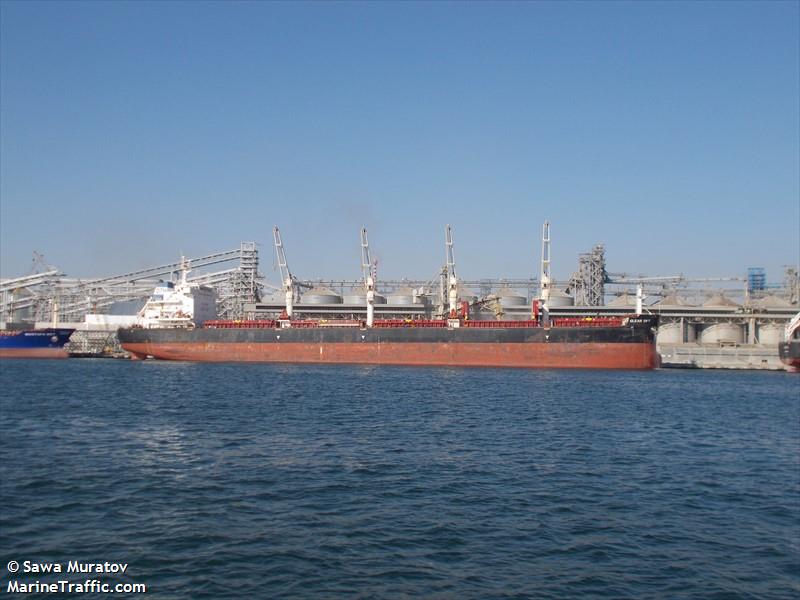 clear sky (Bulk Carrier) - IMO 9663245, MMSI 355077000, Call Sign 3FKB7 under the flag of Panama