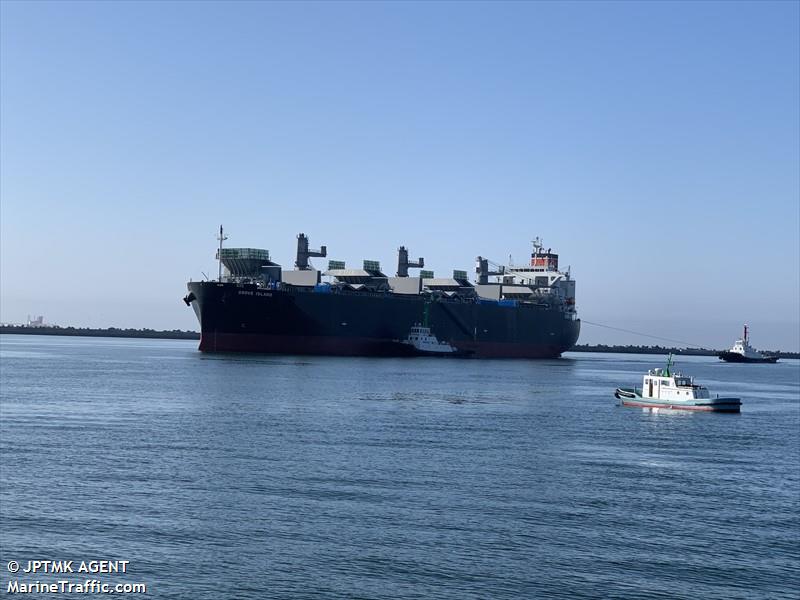 grove island (Wood Chips Carrier) - IMO 9860300, MMSI 355219000, Call Sign 3FZU7 under the flag of Panama