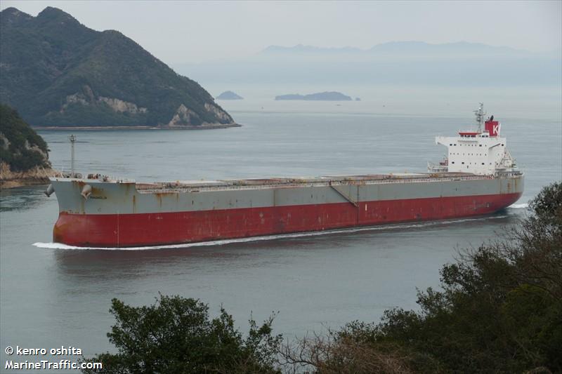 magnolia (Bulk Carrier) - IMO 9461233, MMSI 357986000, Call Sign 3EYV2 under the flag of Panama