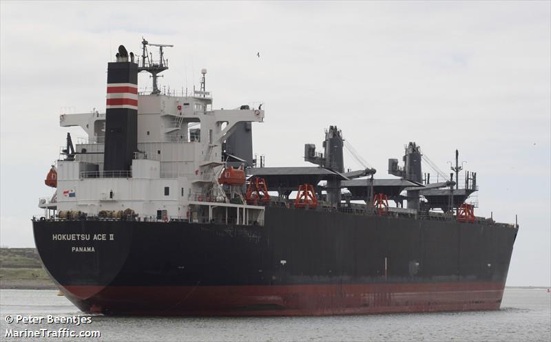 hokuetsu ace ii (Wood Chips Carrier) - IMO 9287211, MMSI 371349000, Call Sign 3ECE8 under the flag of Panama