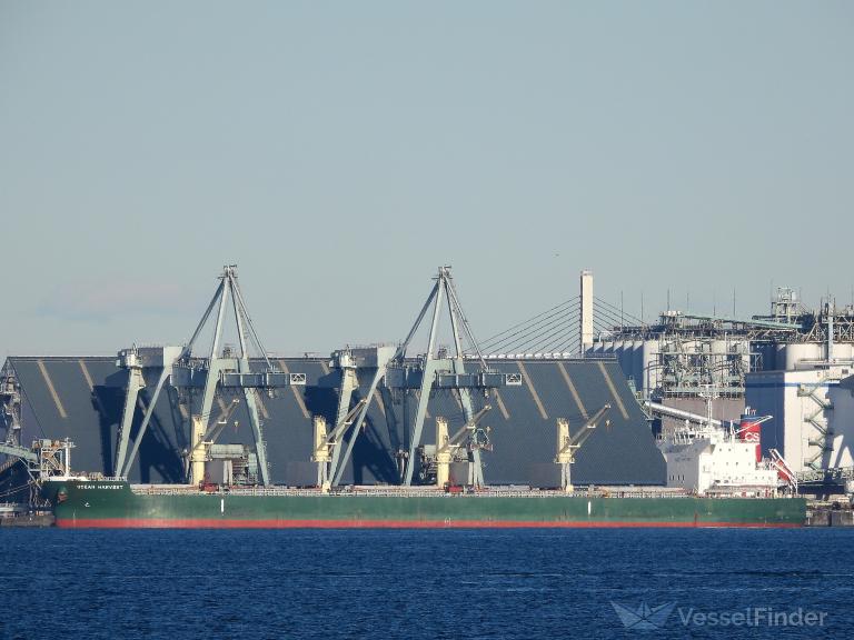 ocean harvest (Bulk Carrier) - IMO 9747467, MMSI 374495000, Call Sign 3FRD4 under the flag of Panama