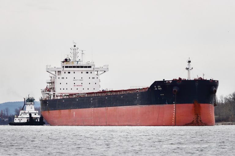 jag amar (Bulk Carrier) - IMO 9723851, MMSI 419001016, Call Sign AWLE under the flag of India