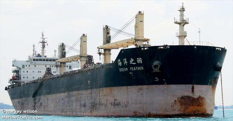 ocean feather (Bulk Carrier) - IMO 9596715, MMSI 477588900, Call Sign VRPD8 under the flag of Hong Kong