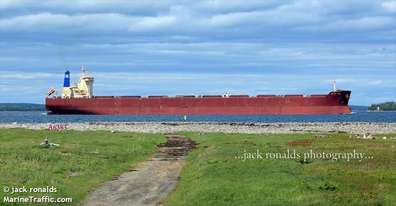 baltic lion (Bulk Carrier) - IMO 9593464, MMSI 538005330, Call Sign V7CV2 under the flag of Marshall Islands