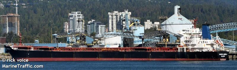 nanxin angela (Bulk Carrier) - IMO 9307657, MMSI 538009128, Call Sign V7A4354 under the flag of Marshall Islands