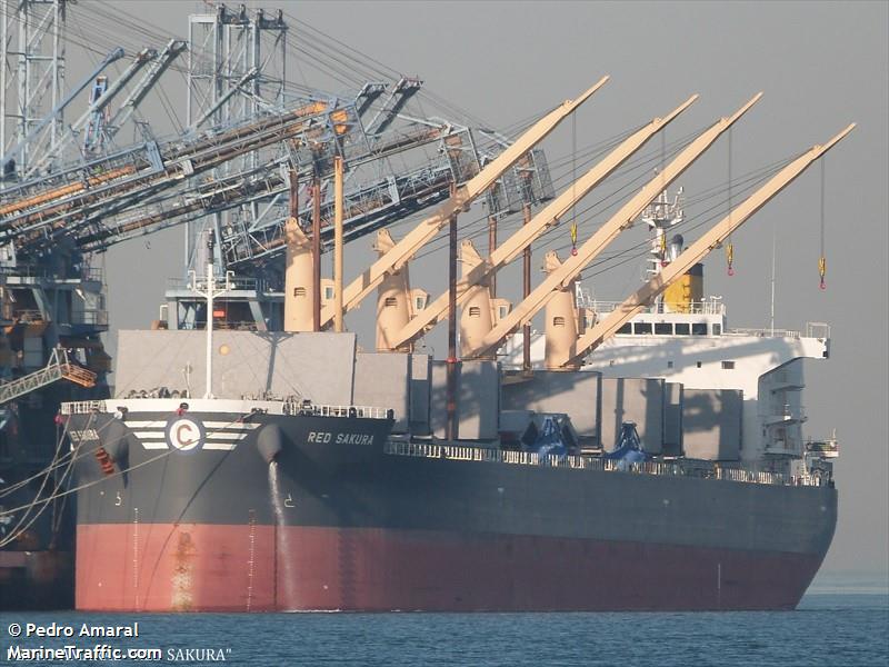 red sakura (Bulk Carrier) - IMO 9781968, MMSI 563003200, Call Sign 9V5162 under the flag of Singapore