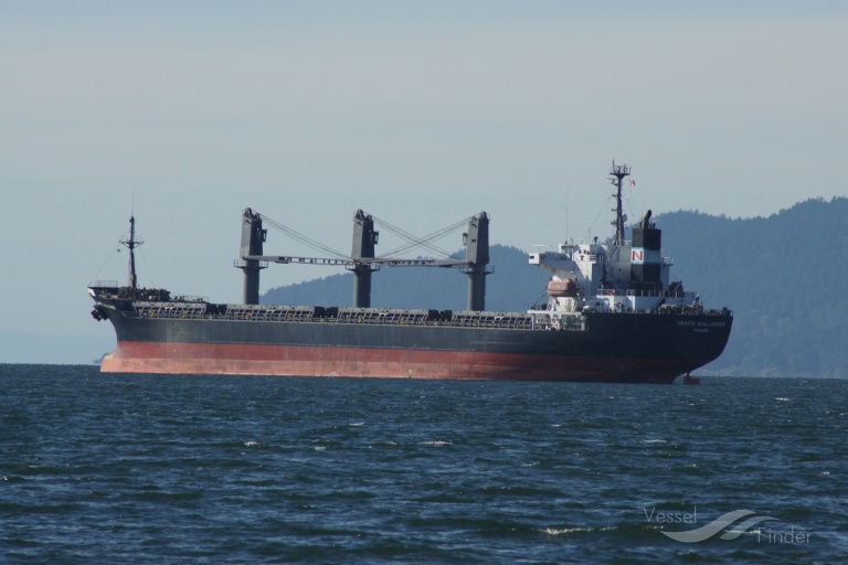 tan binh 134 (Bulk Carrier) - IMO 9236858, MMSI 574002790, Call Sign 3WUN9 under the flag of Vietnam