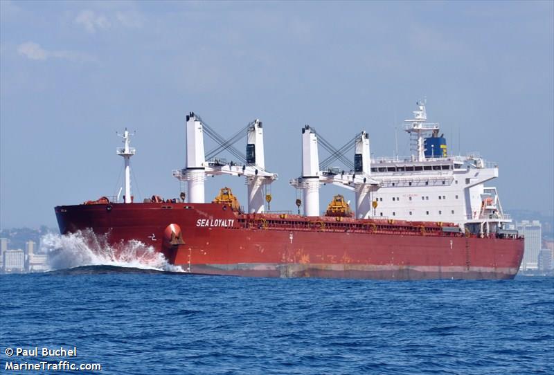 endless horizon (Bulk Carrier) - IMO 9499462, MMSI 636015358, Call Sign D5AE4 under the flag of Liberia