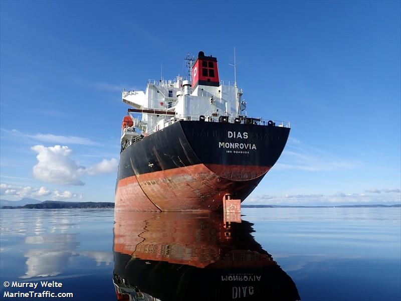 dias (Bulk Carrier) - IMO 9248904, MMSI 636017280, Call Sign A8ZF4 under the flag of Liberia