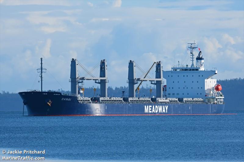 danai (Bulk Carrier) - IMO 9866548, MMSI 636019409, Call Sign D5UJ8 under the flag of Liberia