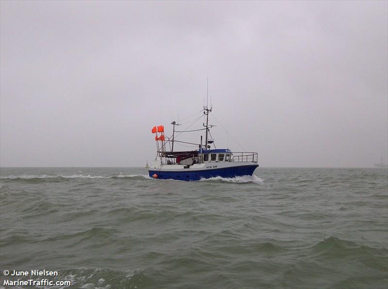 sch 335 mandy (Fishing vessel) - IMO , MMSI 244710825, Call Sign PD4198 under the flag of Netherlands