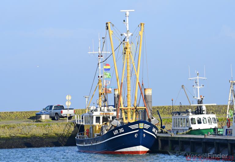 wr36 willem stefan (Fishing vessel) - IMO , MMSI 244877000, Call Sign PCLM under the flag of Netherlands