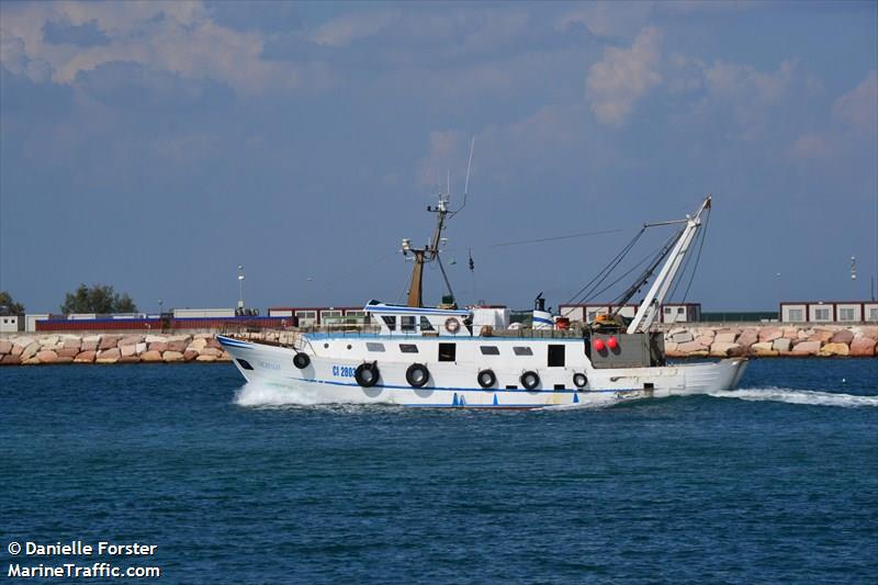 vichingo (Fishing vessel) - IMO , MMSI 247052440, Call Sign IOBK under the flag of Italy