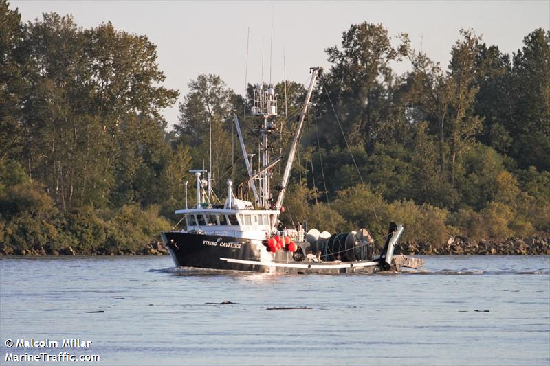 viking cavalier (Fishing vessel) - IMO , MMSI 316019447 under the flag of Canada