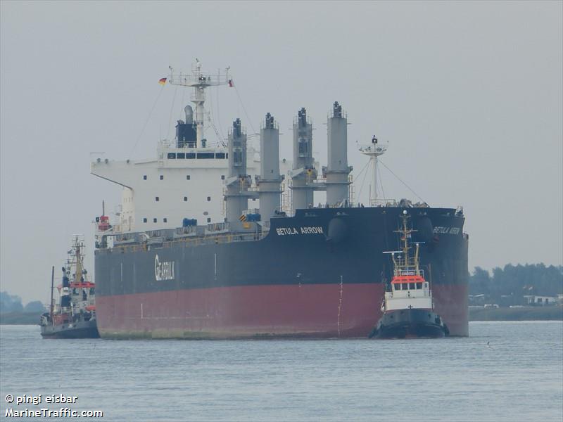 betula arrow (General Cargo Ship) - IMO 9720055, MMSI 351831000, Call Sign 3FJP under the flag of Panama