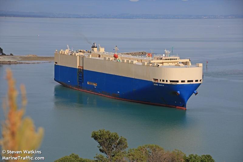 grand dahlia (Vehicles Carrier) - IMO 9355238, MMSI 355222000, Call Sign 3FRA8 under the flag of Panama