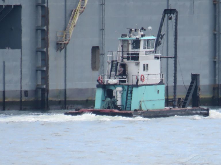 island eagle (Tug) - IMO , MMSI 366879910, Call Sign WDB2798 under the flag of United States (USA)