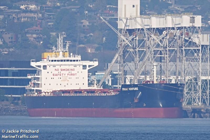 bright venture (Bulk Carrier) - IMO 9868883, MMSI 477528600, Call Sign VRSZ2 under the flag of Hong Kong