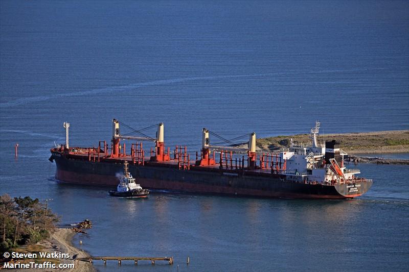 schuyler trader (Bulk Carrier) - IMO 9638408, MMSI 563068300, Call Sign 9V6114 under the flag of Singapore