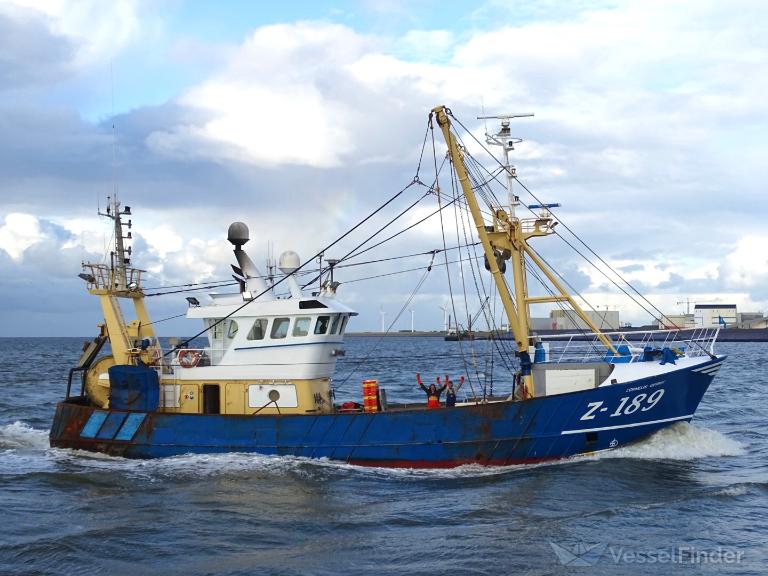 z189 cornelis gerrit (Fishing vessel) - IMO , MMSI 205690000, Call Sign OPHG under the flag of Belgium