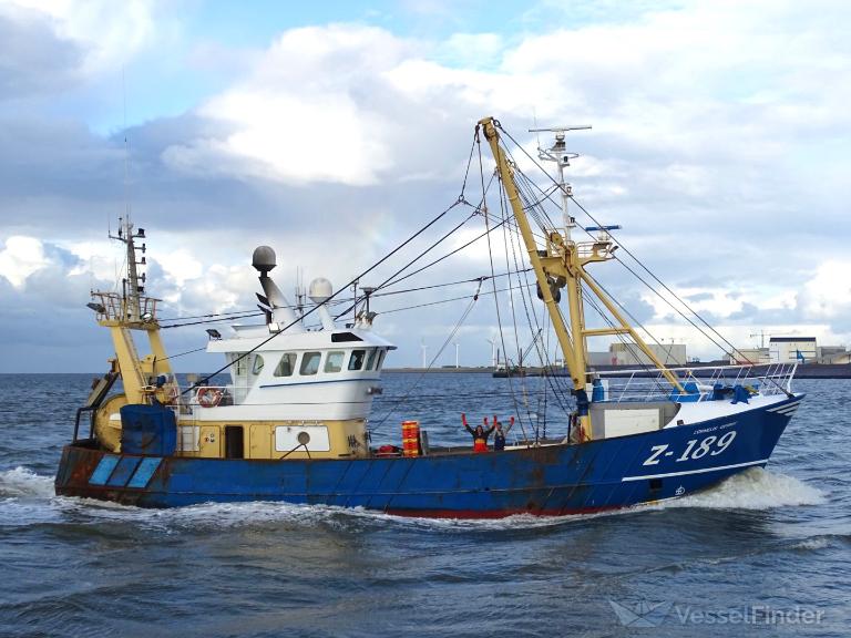 z189 cornelis gerrit (Towing vessel) - IMO , MMSI 205690000, Call Sign OPHG under the flag of Belgium