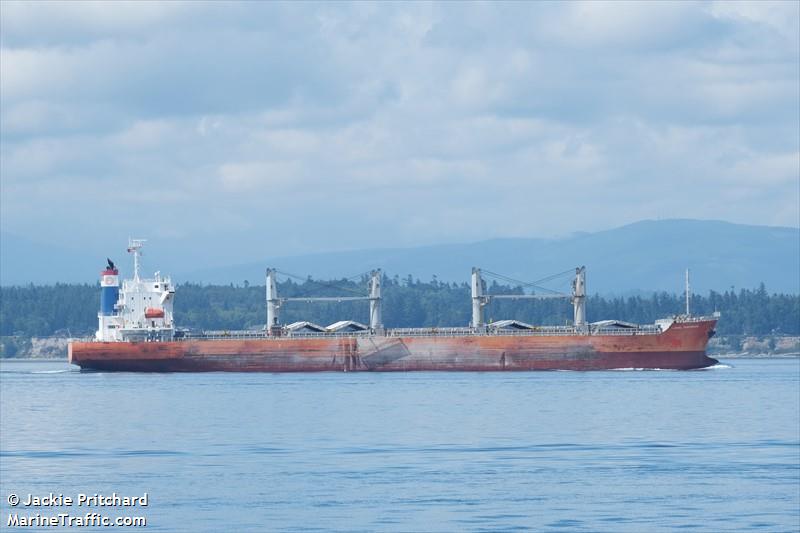 ijssel confidence (Bulk Carrier) - IMO 9604809, MMSI 255806090, Call Sign CQIW8 under the flag of Madeira