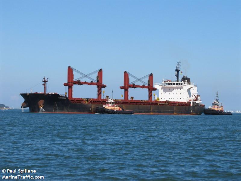 hamburg pearl (Bulk Carrier) - IMO 9576741, MMSI 311000512, Call Sign C6CM5 under the flag of Bahamas