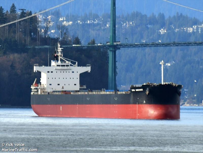 star amethyst (Bulk Carrier) - IMO 9523251, MMSI 311000630, Call Sign C6DB6 under the flag of Bahamas