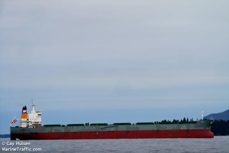 ilia (Bulk Carrier) - IMO 9577460, MMSI 351427000, Call Sign 3FSB9 under the flag of Panama