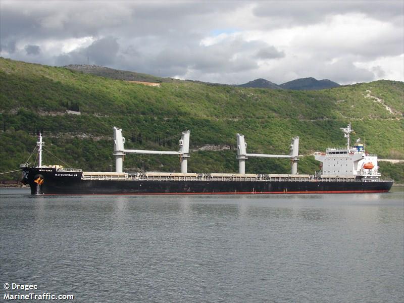 ever reach (Chemical Tanker) - IMO 9083940, MMSI 351626000, Call Sign H3VM under the flag of Panama