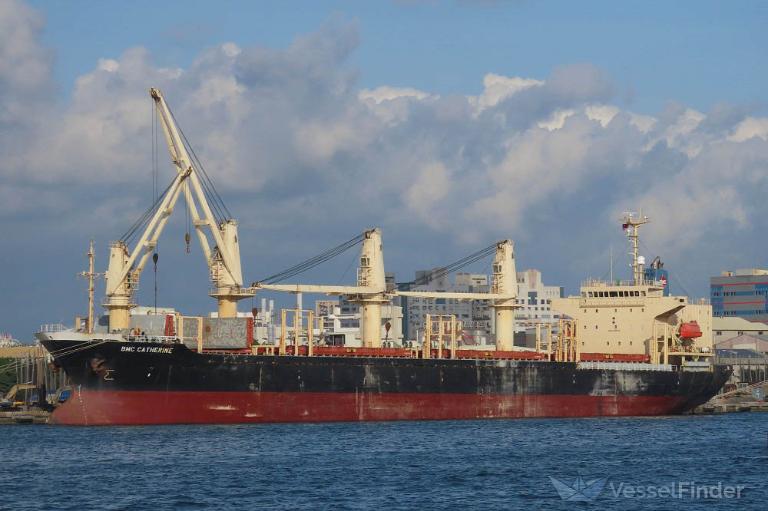 bmc catherine (Bulk Carrier) - IMO 9205639, MMSI 353248000, Call Sign H3GE under the flag of Panama