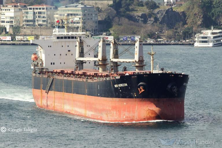 new horizon (Bulk Carrier) - IMO 9290701, MMSI 353837000, Call Sign H3MG under the flag of Panama