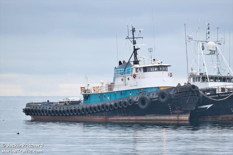 hunter (Tug) - IMO 7726495, MMSI 366770250, Call Sign WBN3744 under the flag of United States (USA)